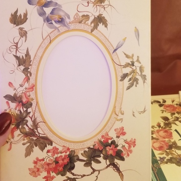 Victorian Treasury Photograph Album with Photo Mounts & Envelopes - Picture 2 of 10